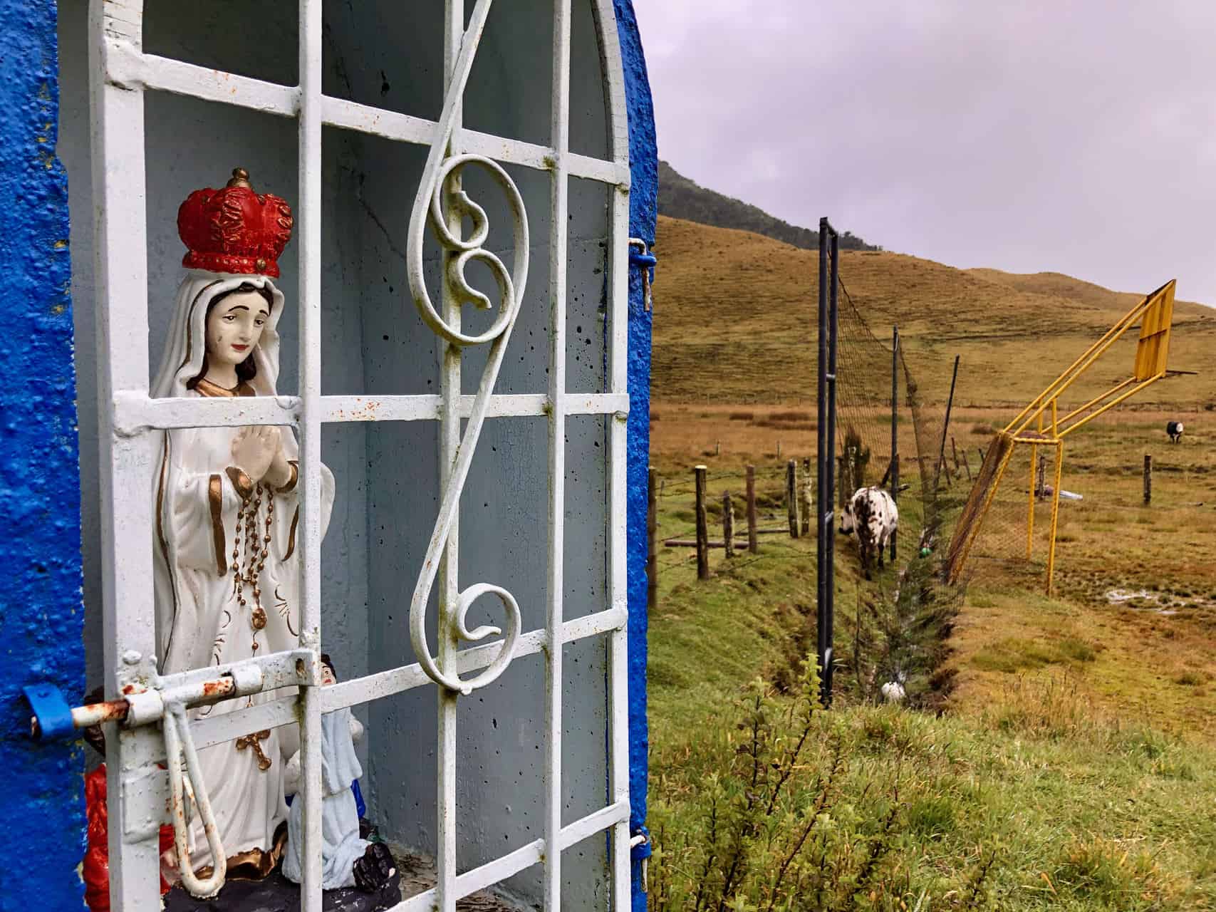 Besorgter Blick in die Zukunft (Bild: M. Schäfer)