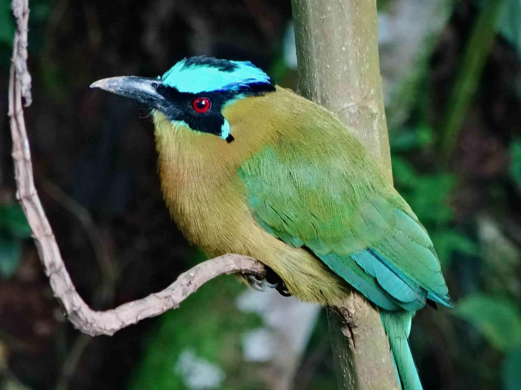 Barranquero (Bild: M. Schäfer)