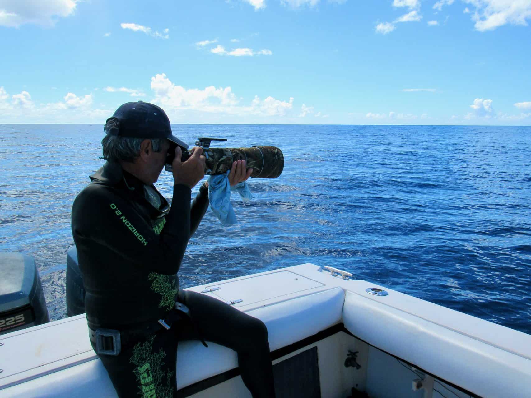 Franco Banfi fotografiert vom Boot aus Pilotwale (Bild: M. Schäfer)