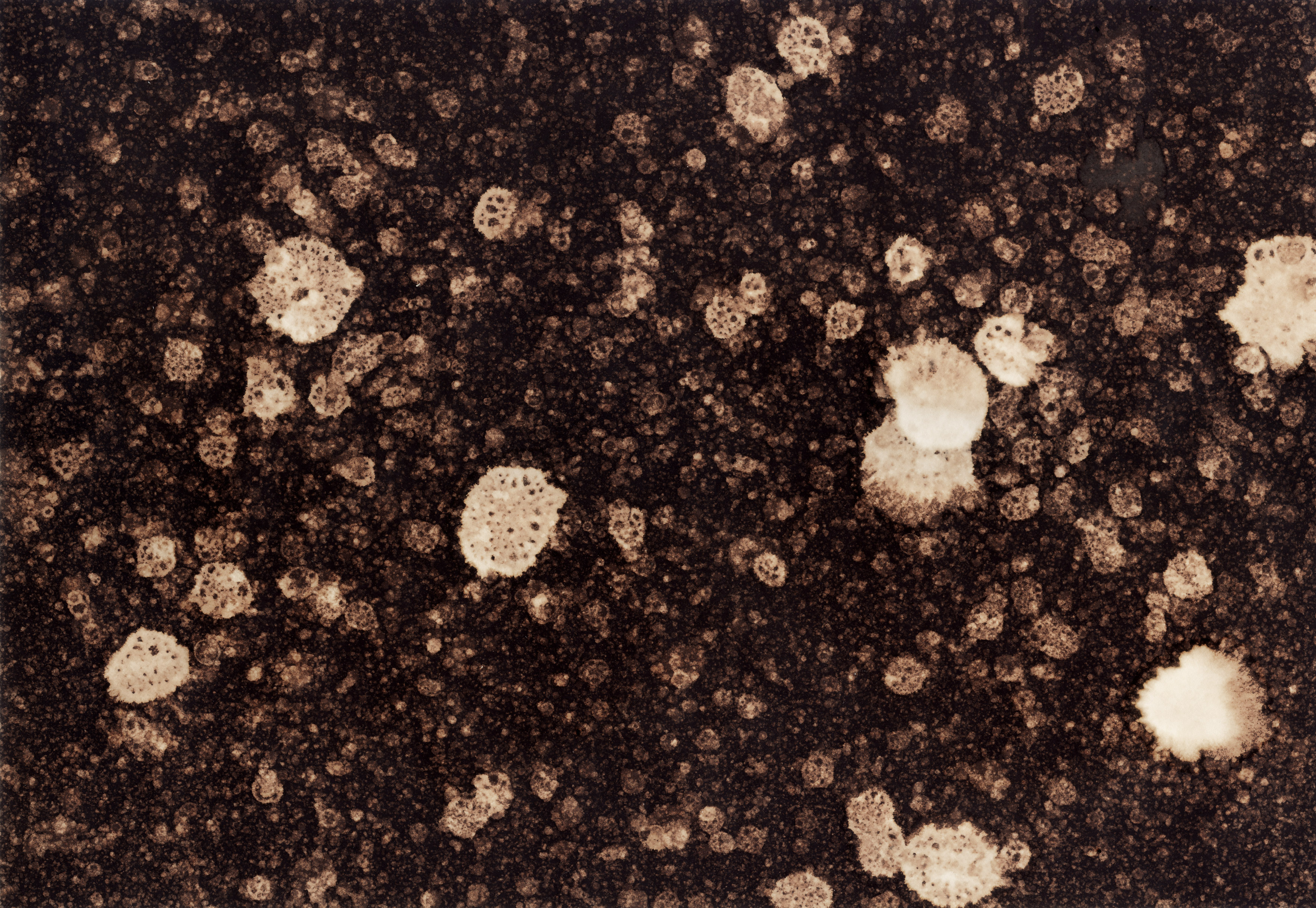 10 Bleached Textures