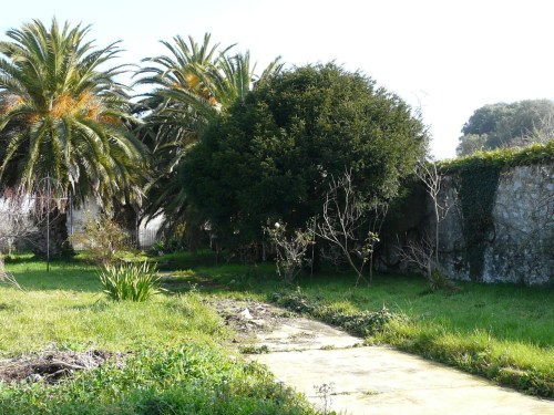 Tejo de Piles. Ribadesella. febrero 2011