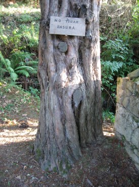 Entrialgo