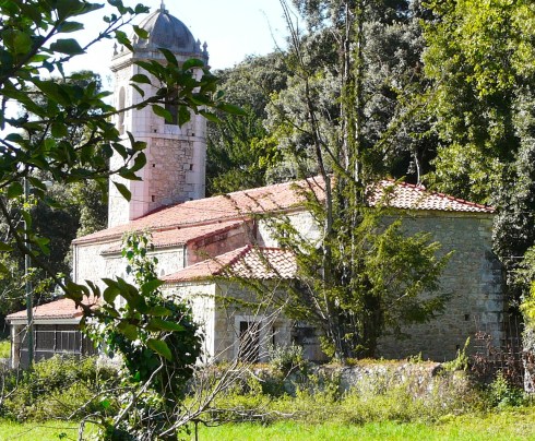 teja de Vidiago. verano 2011