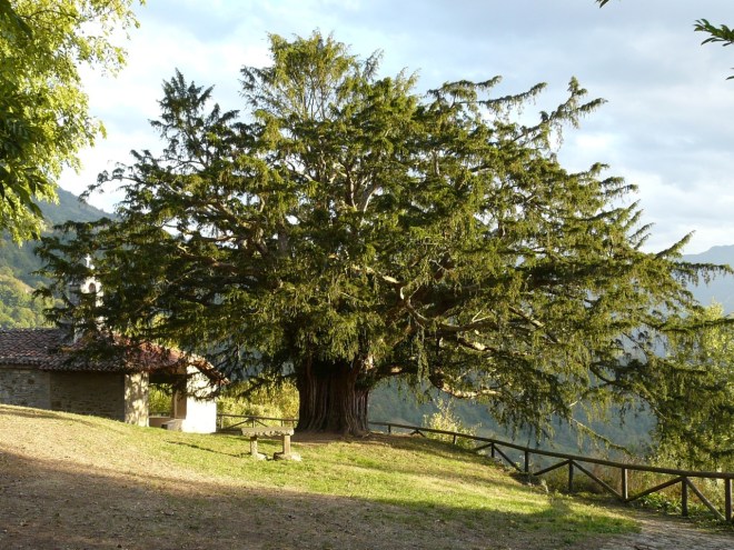Bermiego