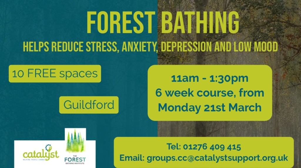 Mental health charities and university research The Forest Bathing