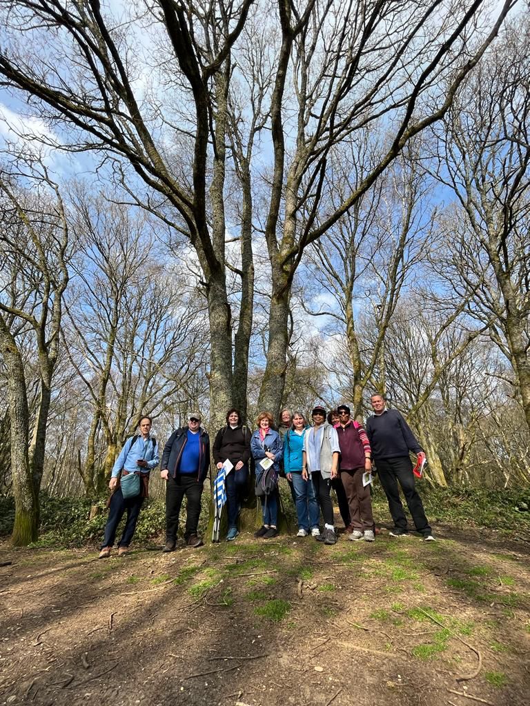 Mental health charities and university research The Forest Bathing