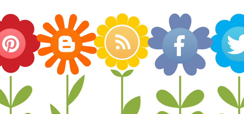 social media