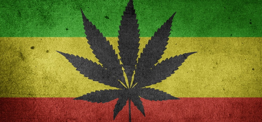 weed