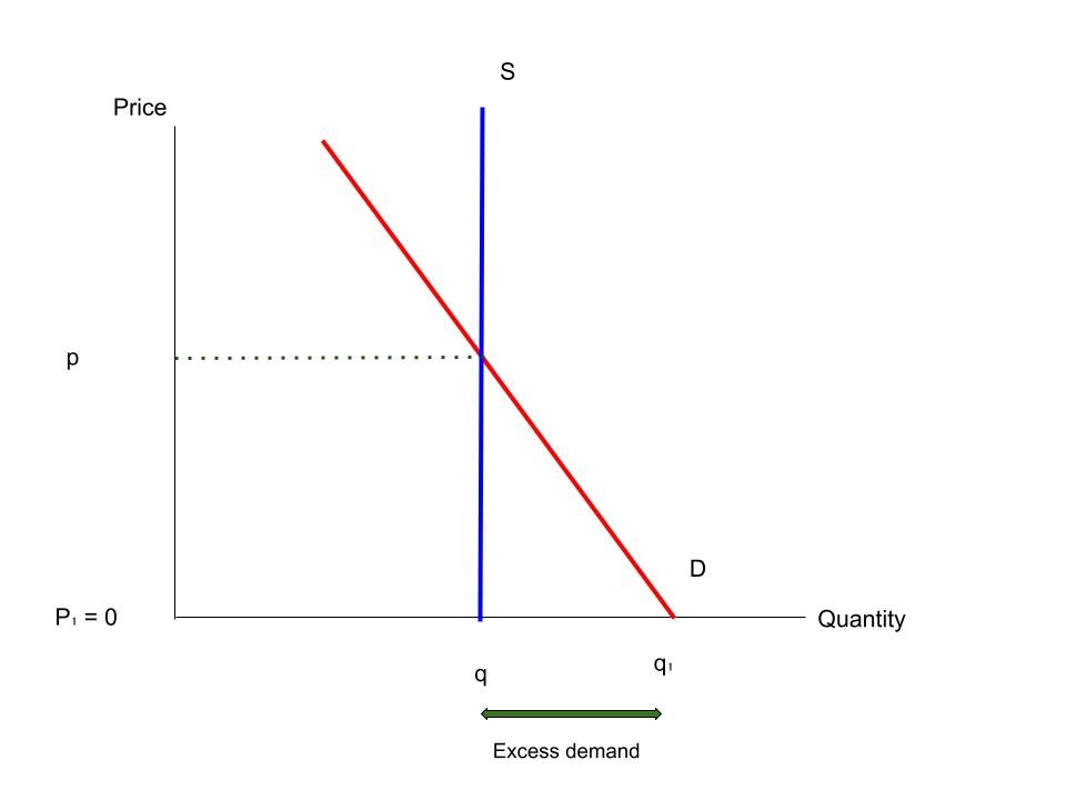 Diagram showing state provision with excess demand shown. Supply is vertical. 