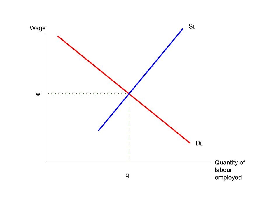 Labour supply and labour demand in equilibrium.