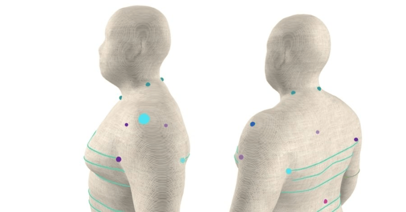 A 3D body avatar with shoulder-point and other measurement landmarks marked, shown from the side and back