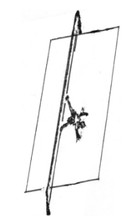 Bagaimana cara melatih anak gerakan meroda?