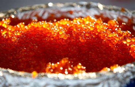 Esperma de Salmón: Un Tesoro Natural para el Cuidado de la Piel