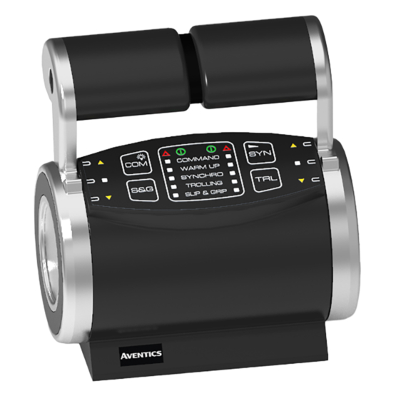 AVENTICS R417004001 Type 244 G3 marine control head — angled view of the marine control head