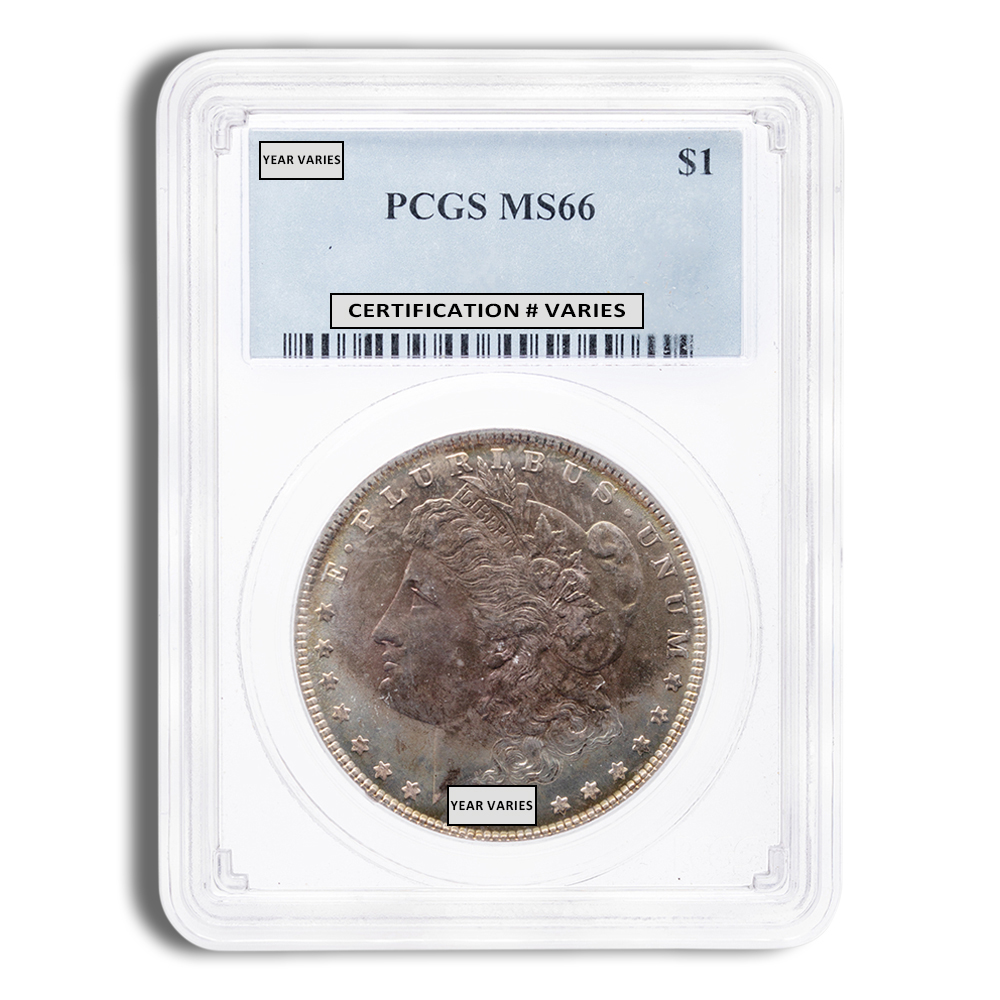 Pre-1921 Morgan Dollar - PCGS MS66 (Toned)