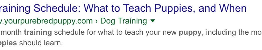 How to create the right meta description