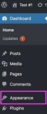 appearance in wordpress