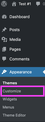 customize in WordPress