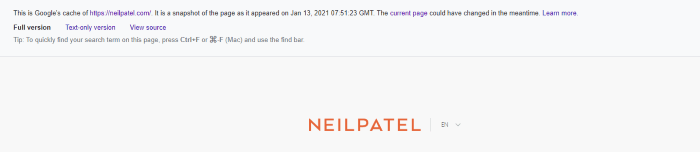 view of google cache on NP