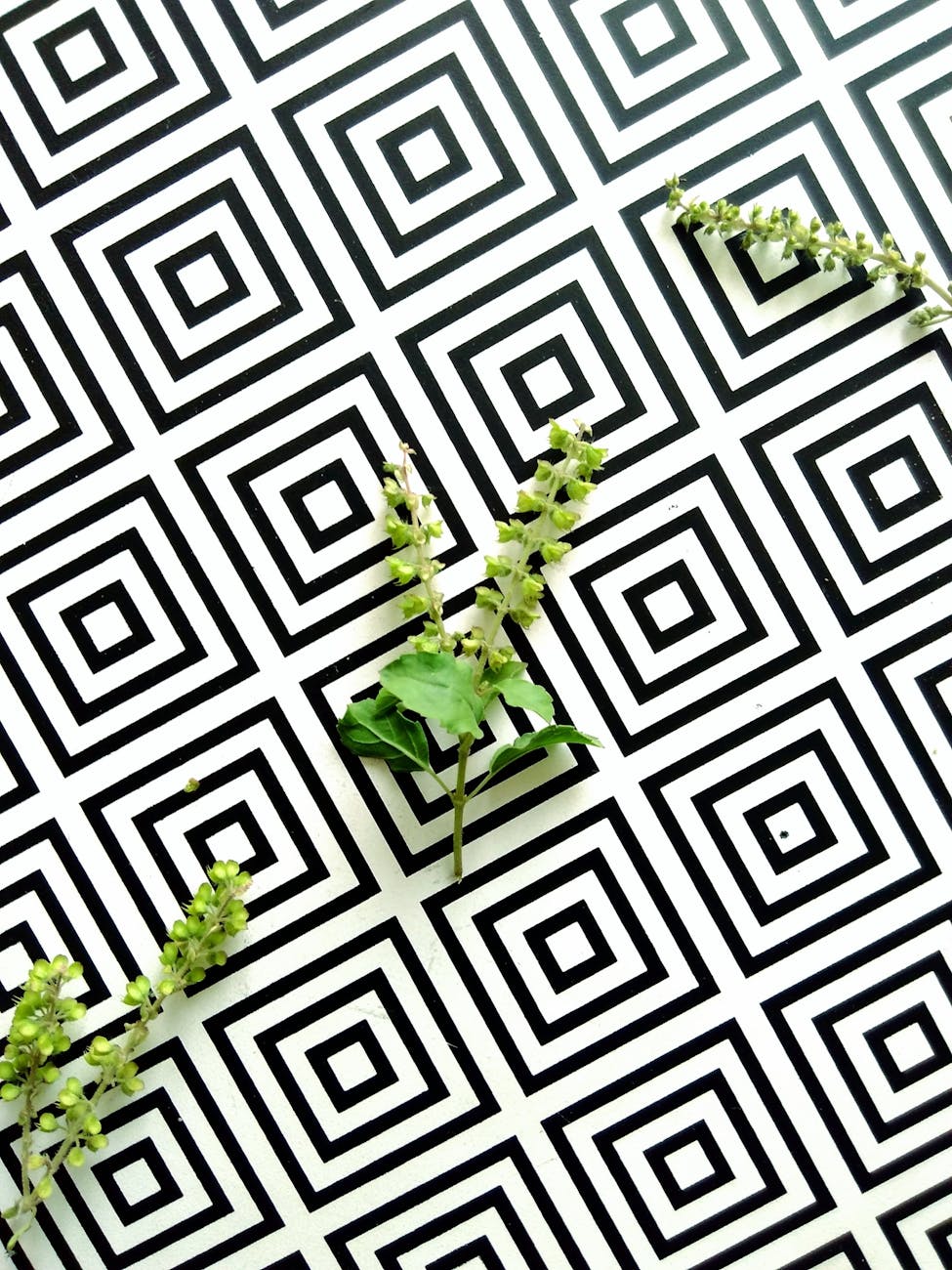 How to Sell on Etsy: A Step-by-Step Guide for Beginners