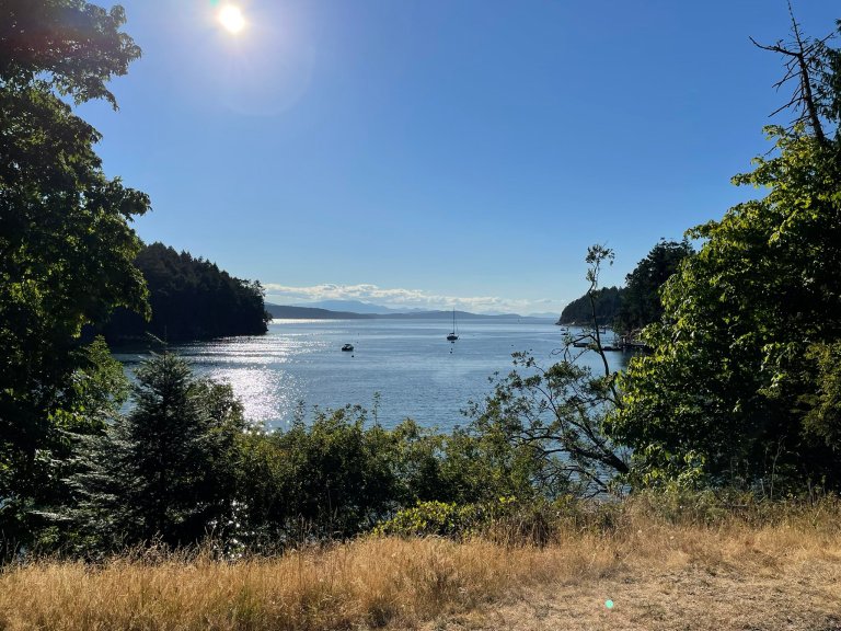 View of the ocean from a cliff on a sunny day with blue skies. Two boats are in the water and an island is visible in the distance. The view is framed with trees.