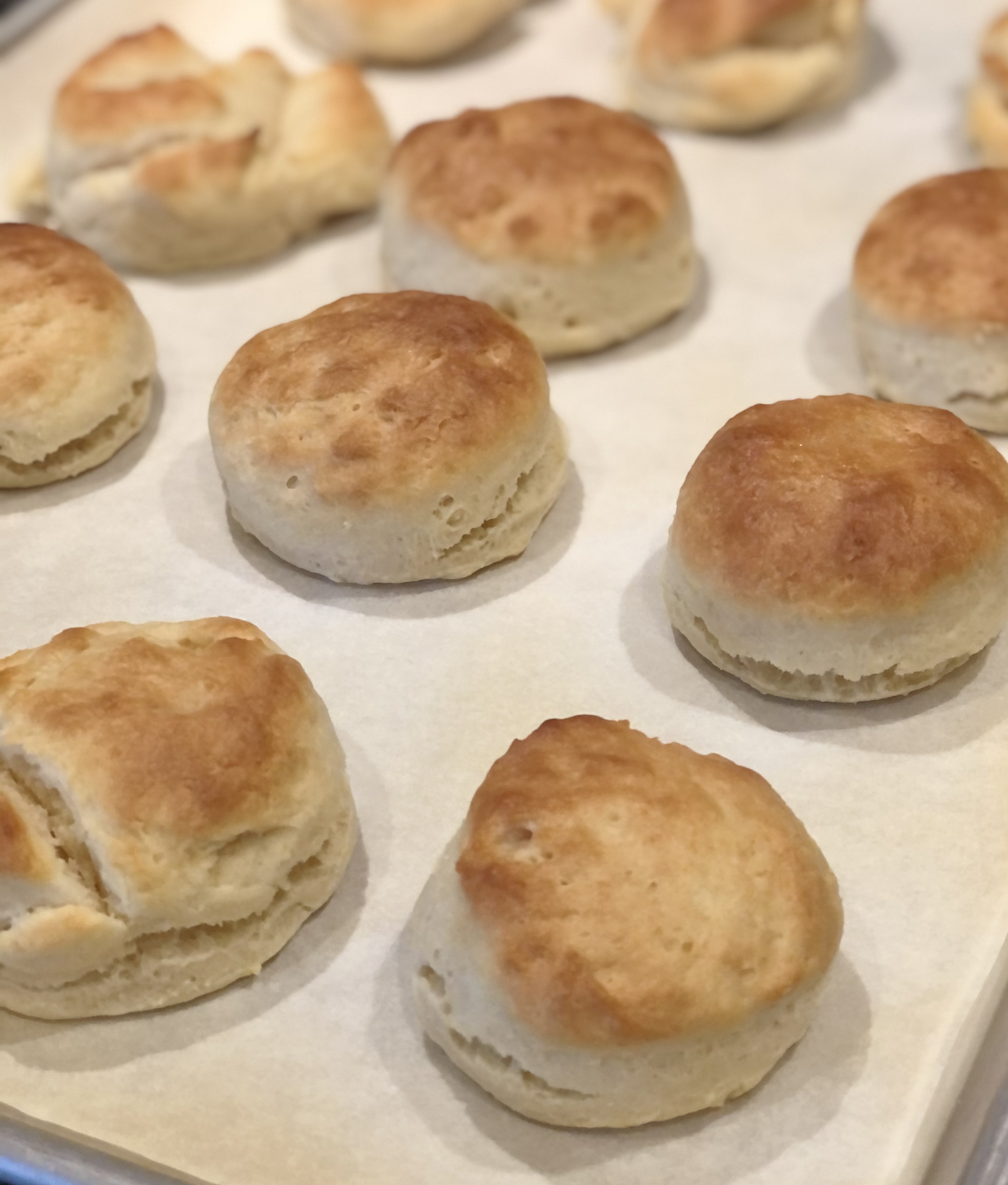 Easiest-Ever Biscuits