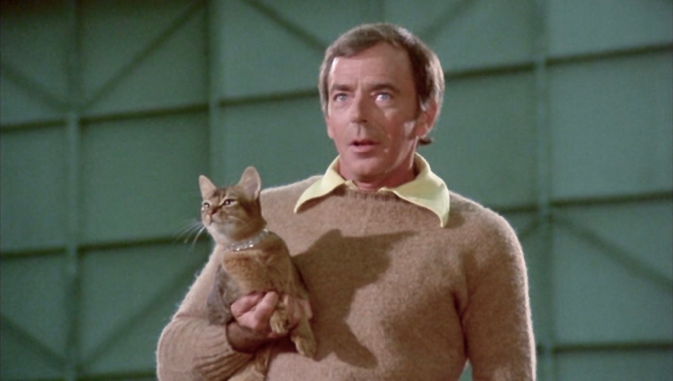 cat01