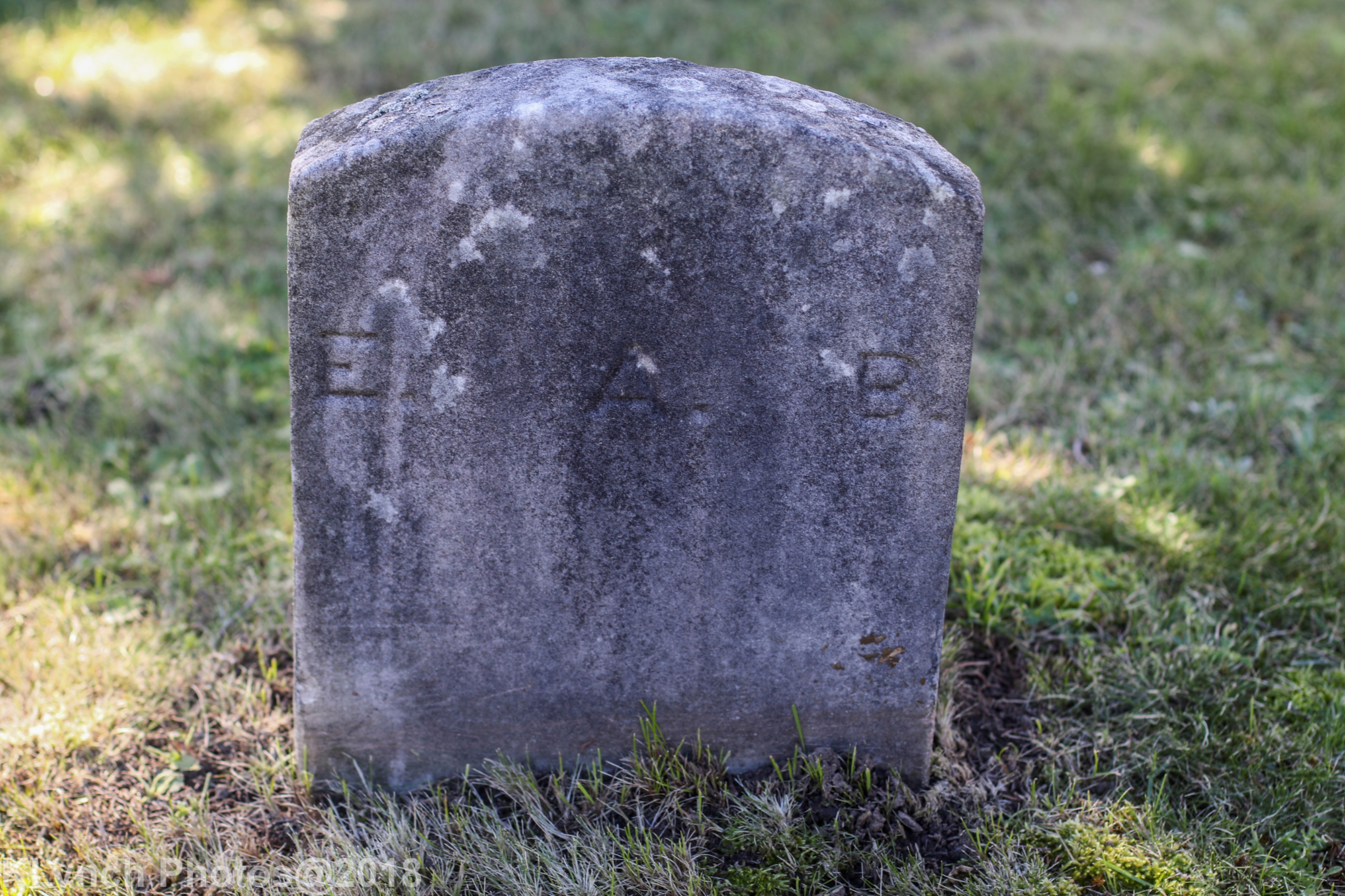 Edwin Brown's grave is rather basic compared to his family's