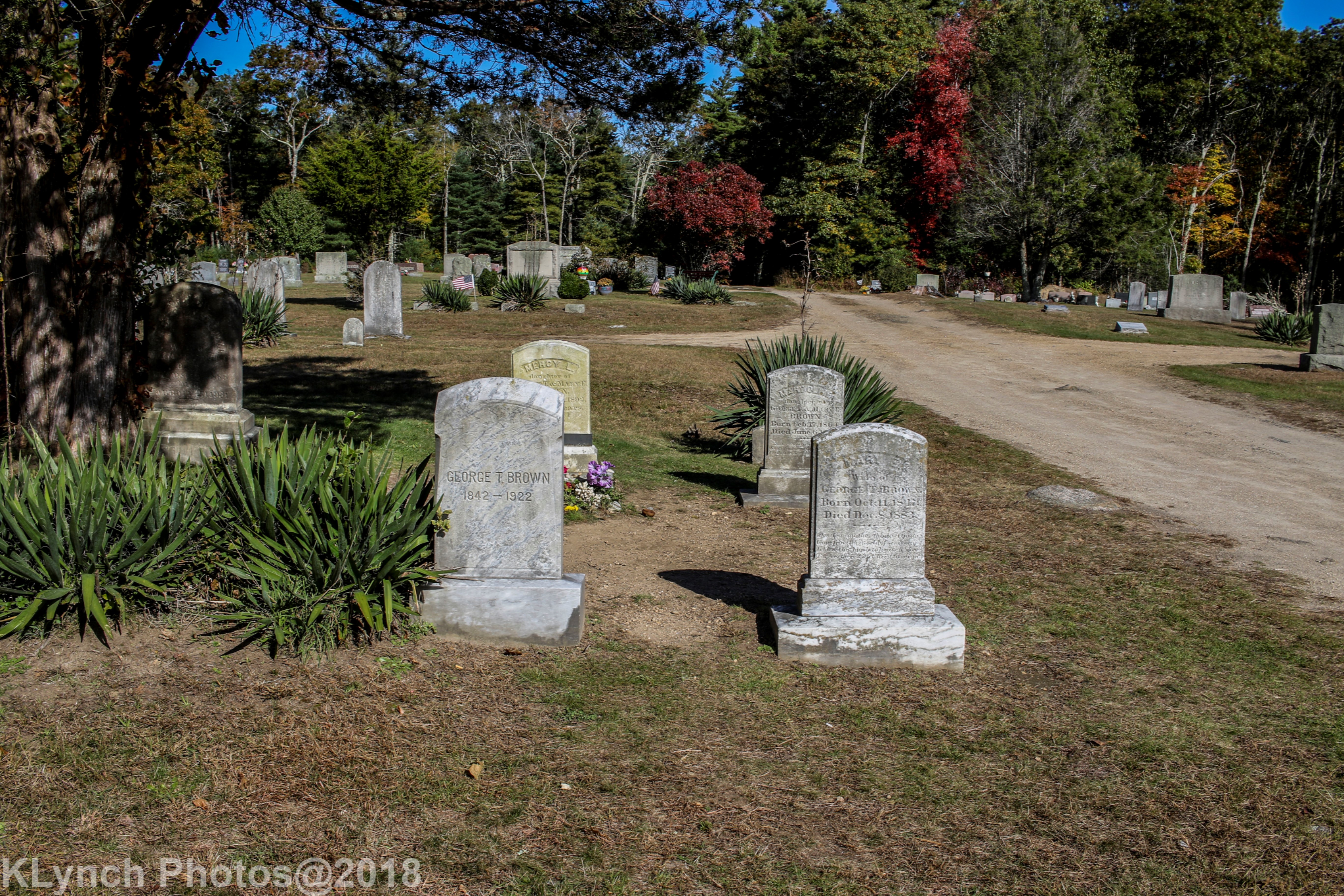 The slab between the grave and the road is where Mercy's organs were burned
