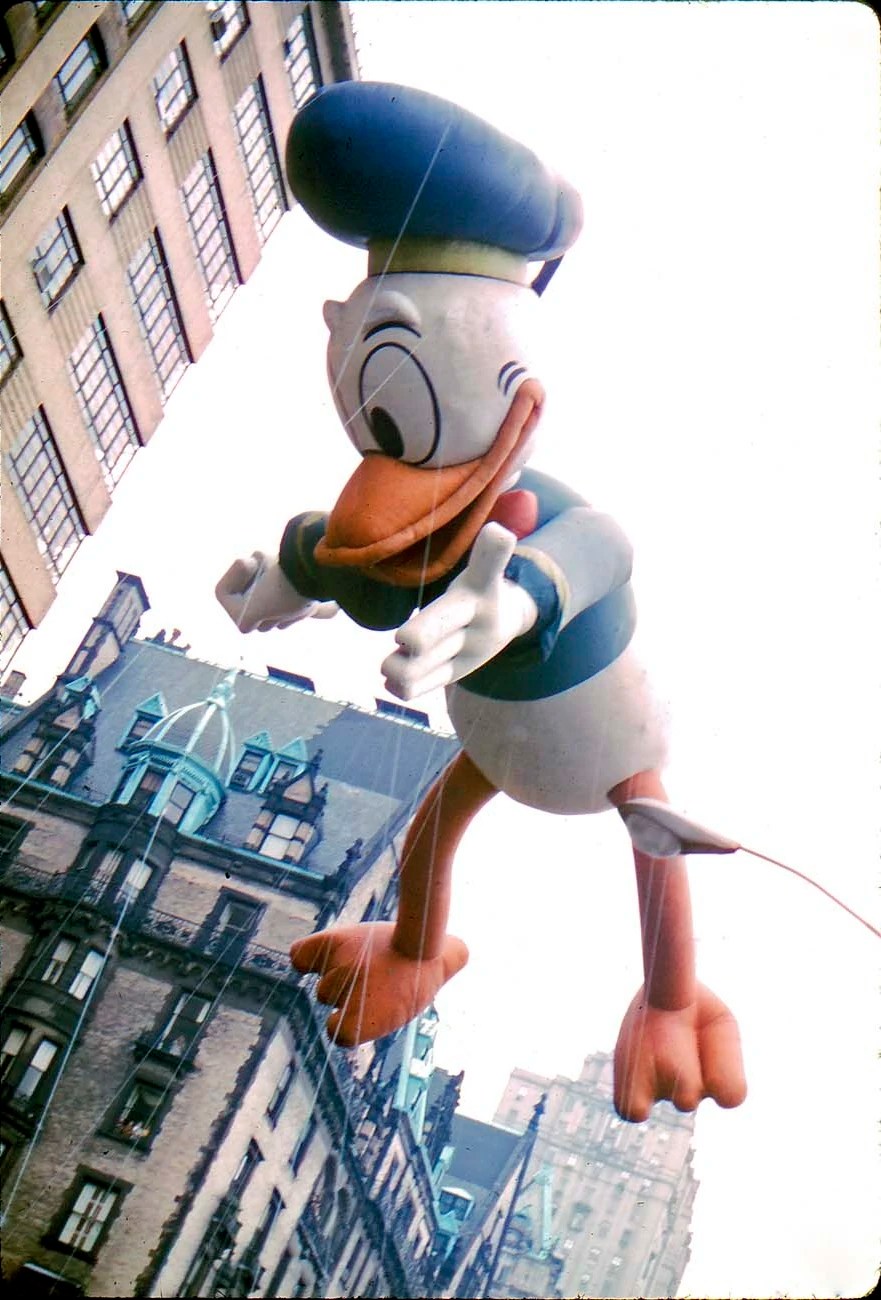 Donald has the second most appearances after Mickey. He first appeared in 1935, and a second balloon (shown) appeared 1962-72 and again in 1984.