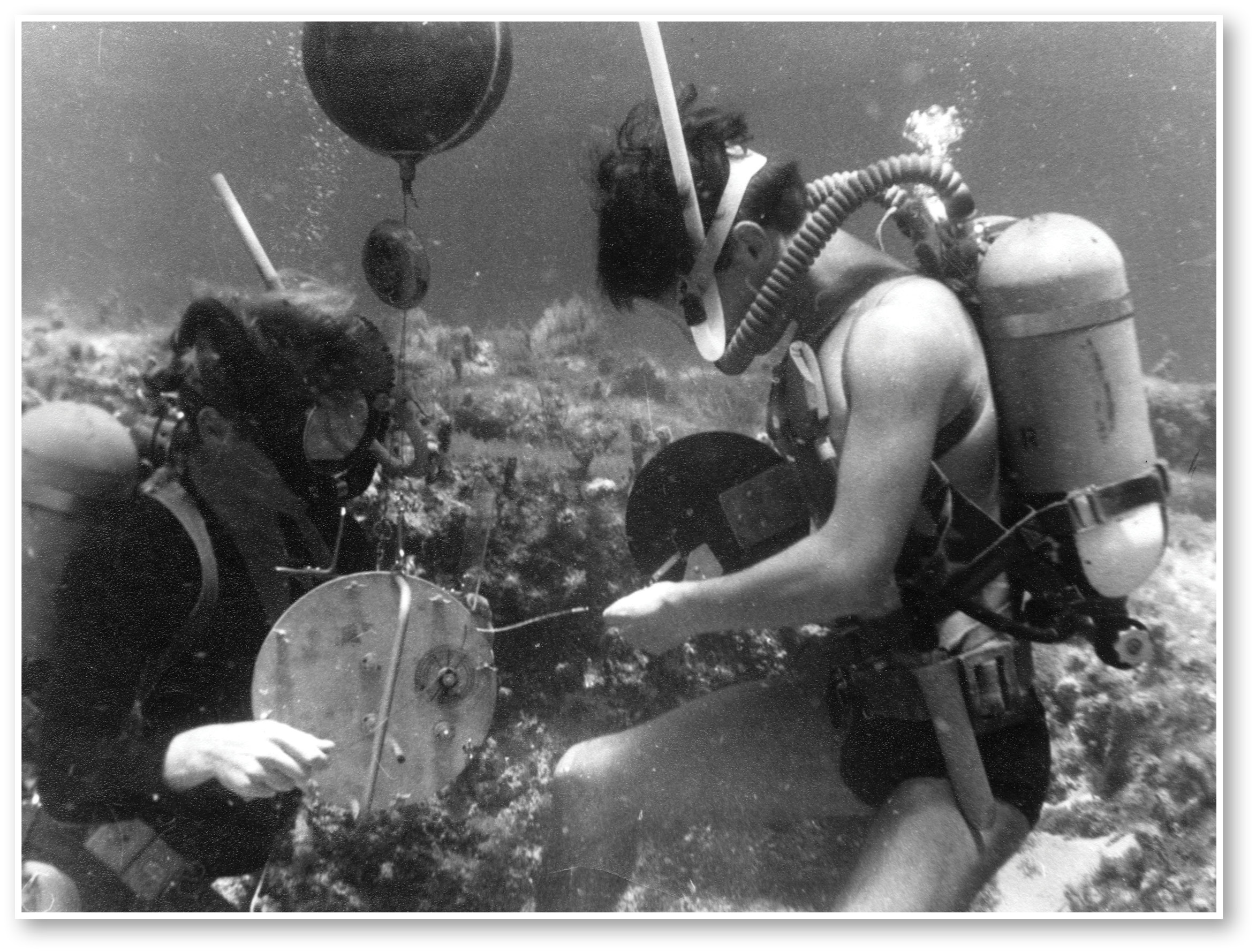 Scuba The Movie'S Journey: Stephanie Reedy'S Leadership - zyqu3ah