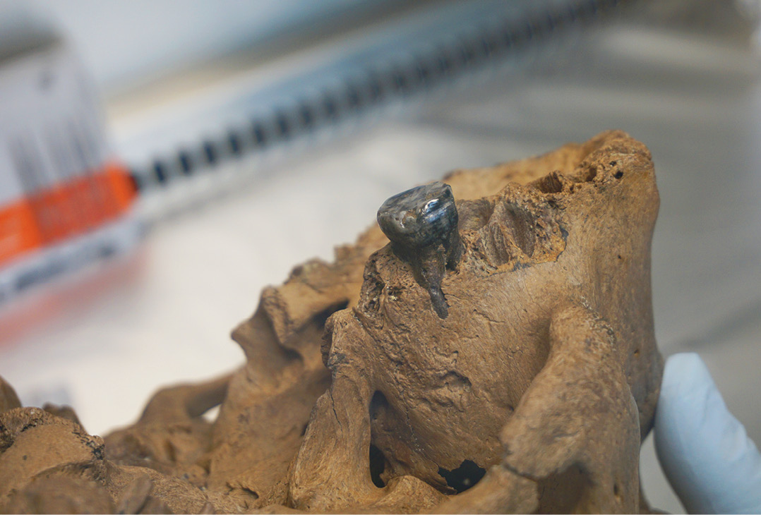 ‘Dragon Man’ is a Denisovan?