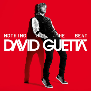 David Guetta during the Nothing But the Beat era