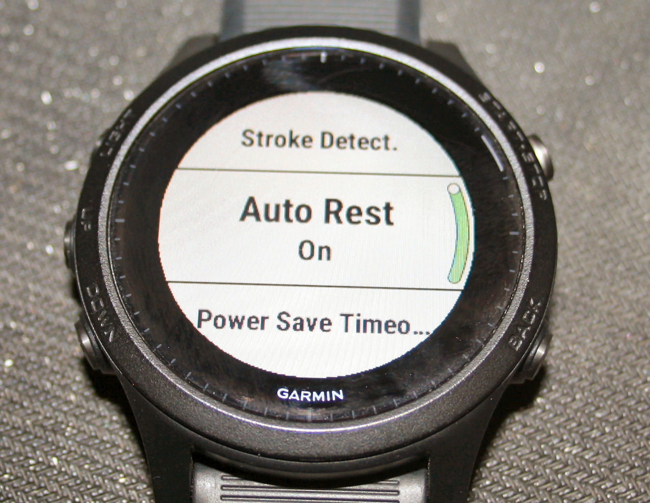 garmin fenix 5 swim settings