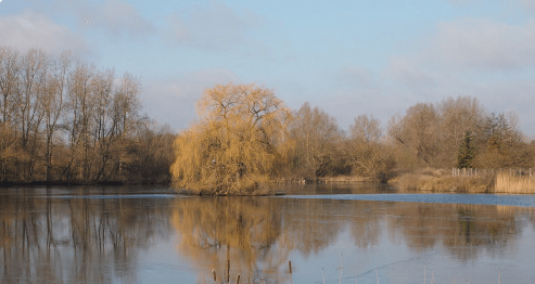 Suffolk