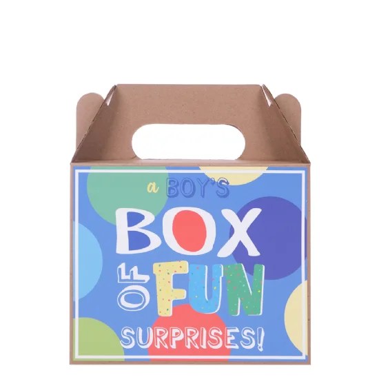 Boys Box Of Fun Surprises - (Pen, Bubbles, Stickers, Water Snake, Metal Puzzle & Squishy Toy)