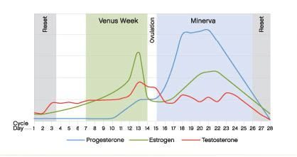 mirena iud hormonal acne