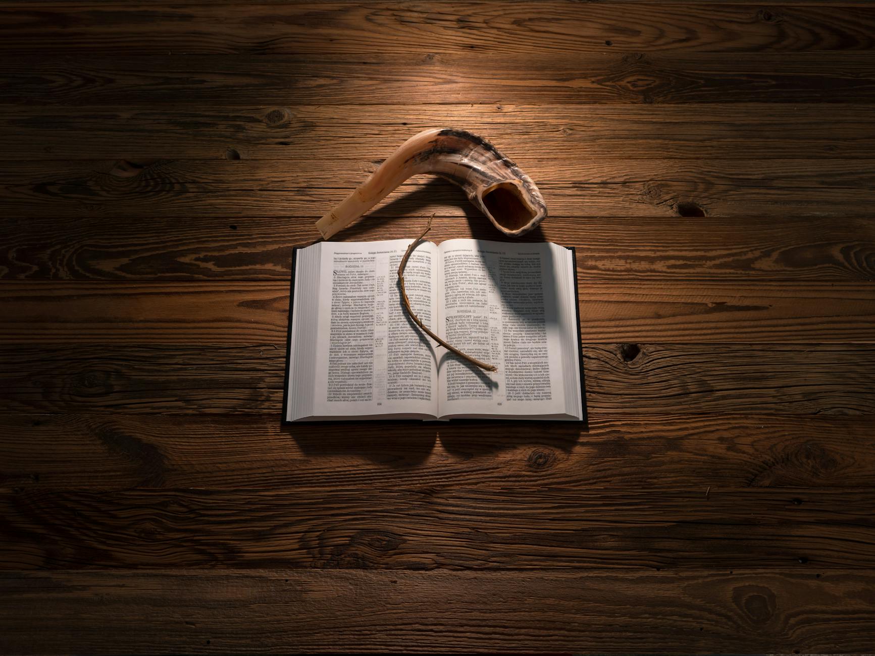 twig on an open book