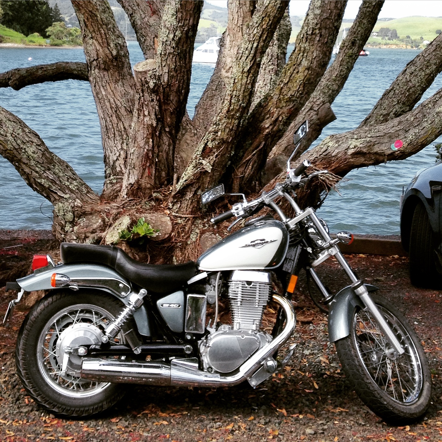 The fish bars here are famous with bikers from all over