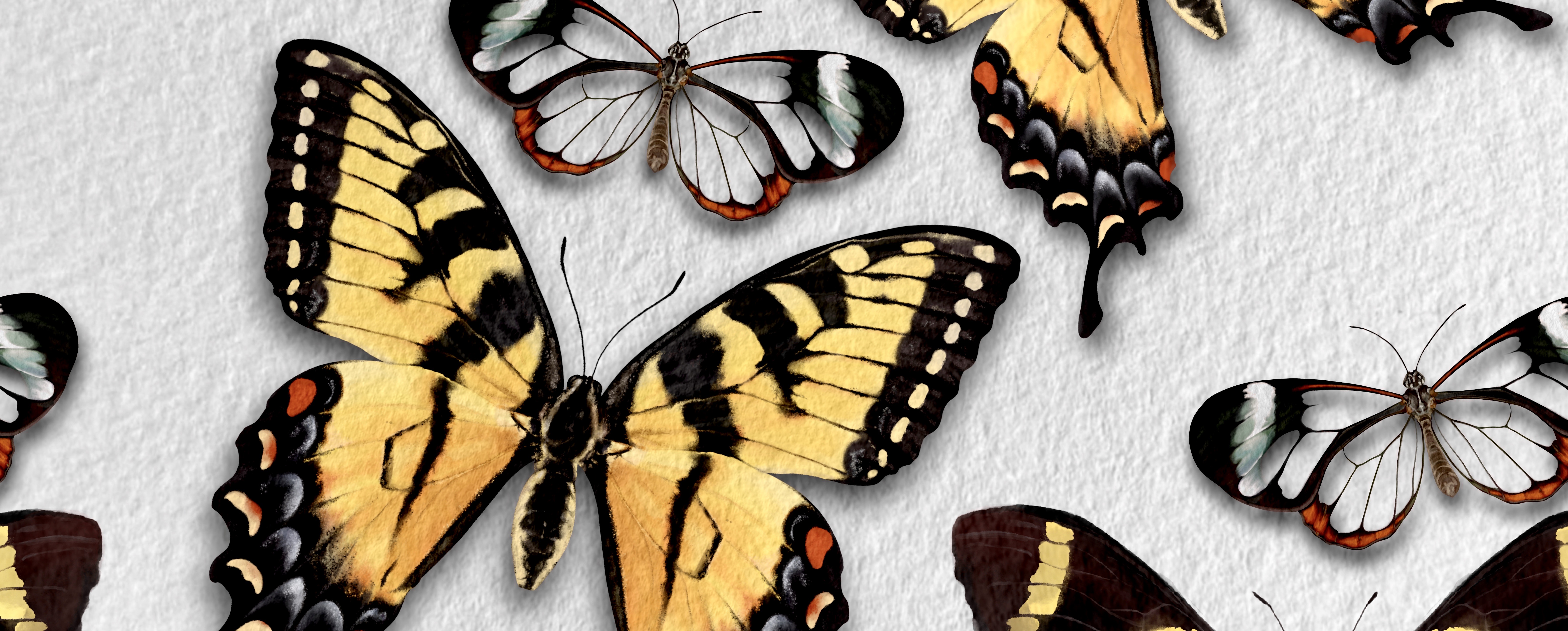 Crikey! Check out these DelVal Zoo Science & Conservation Students Going Wild on Social Media