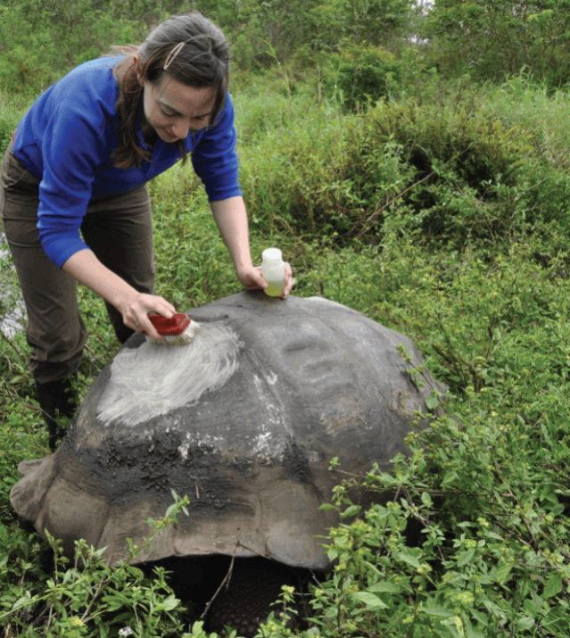 Don’t Miss Tonight’s One Health event: “On the Backs of Tortoises: Darwin, the Galapagos, and the Fate of an Evolutionary Eden”