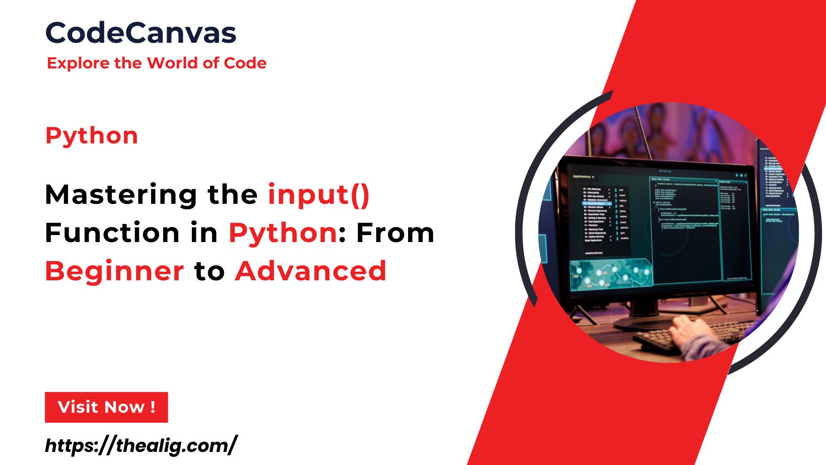 Mastering the input() Function in Python From Beginner to Advanced