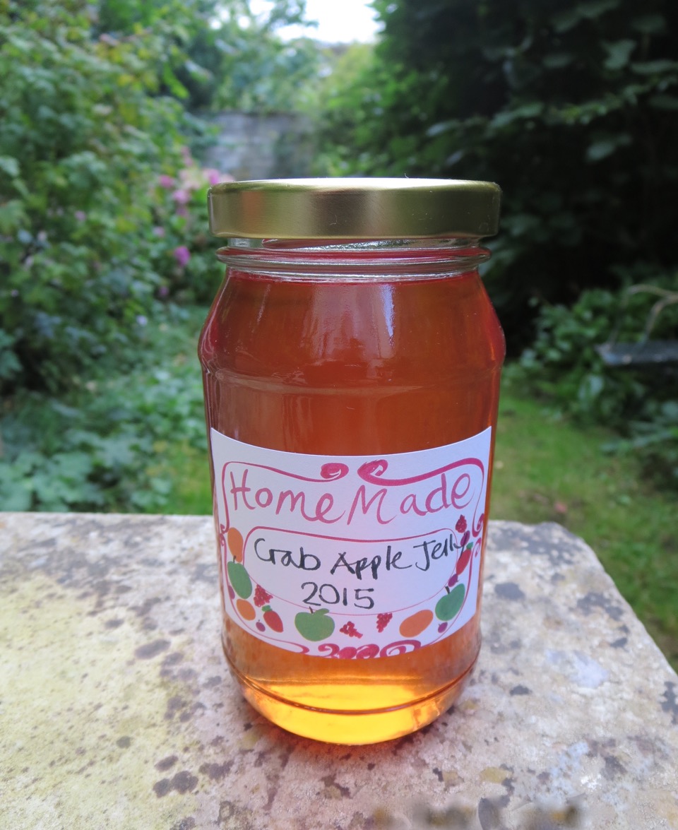 Apple Jelly and Chilli Jelly The Allotment Kitchen