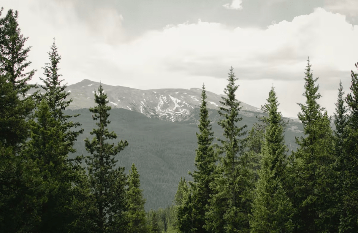 Colorado mountain landscape