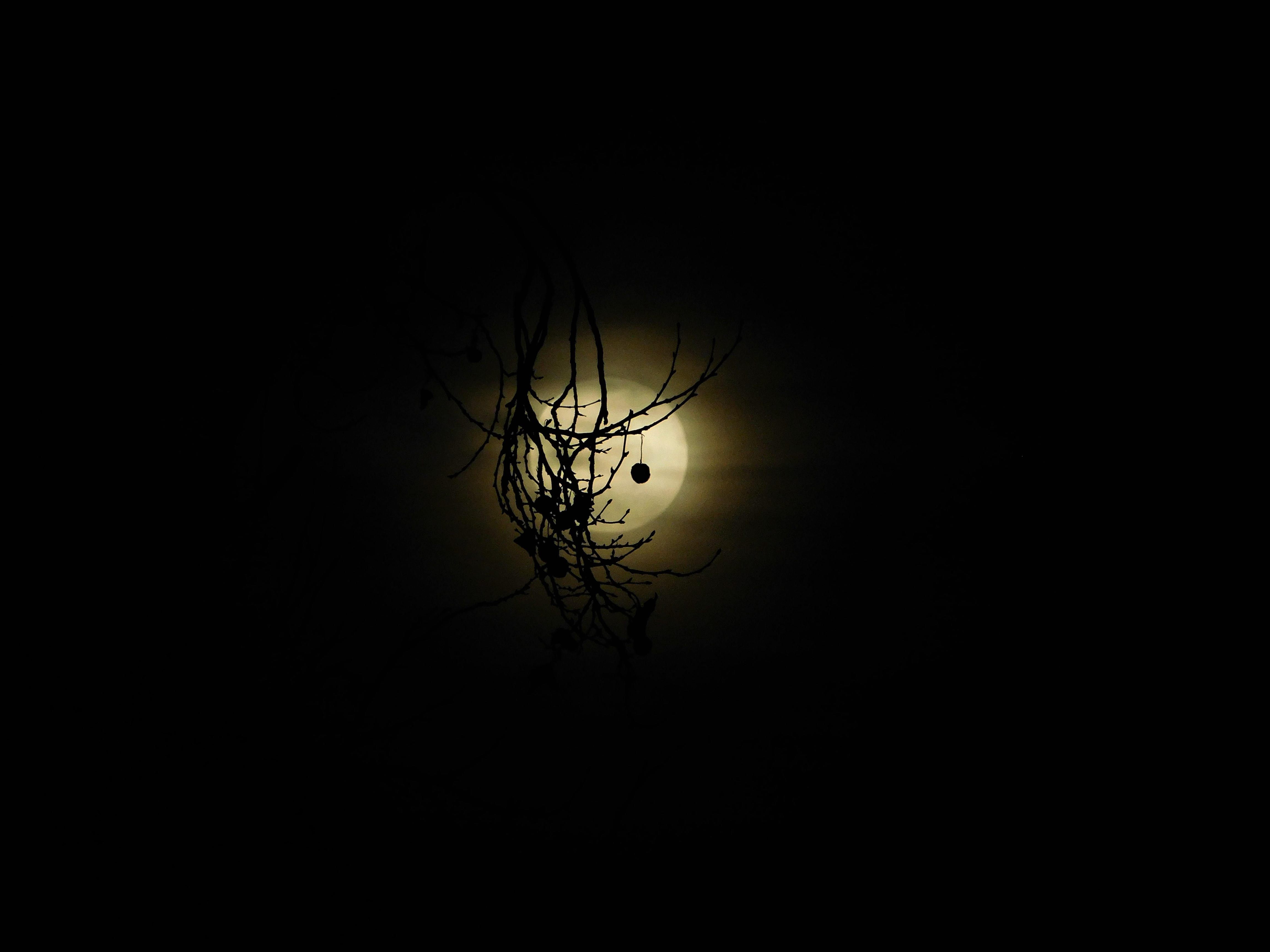 Full Wolf Moon Lunar Eclipse 2019 – Amethyst Moon