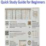 Microsoft Excel Quick Study Guide For Beginners: Master Essential Skills