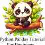 Pandas Tutorial For Beginners: The Ultimate Guide For An Easy Start