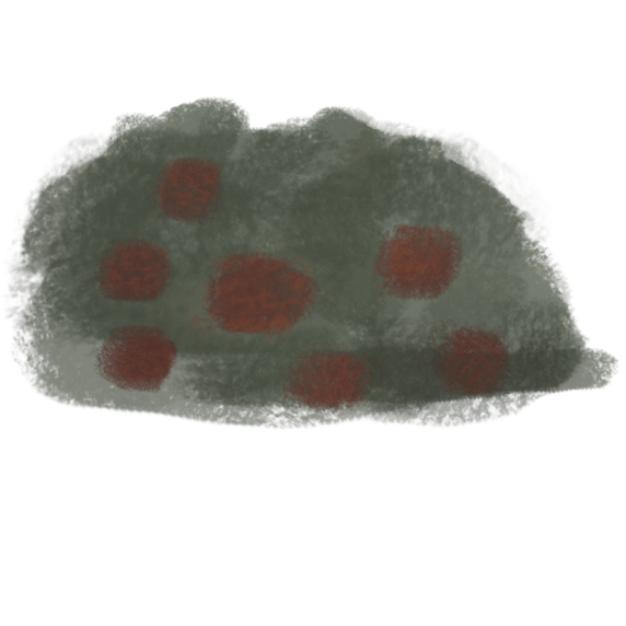 Plant_04_Col