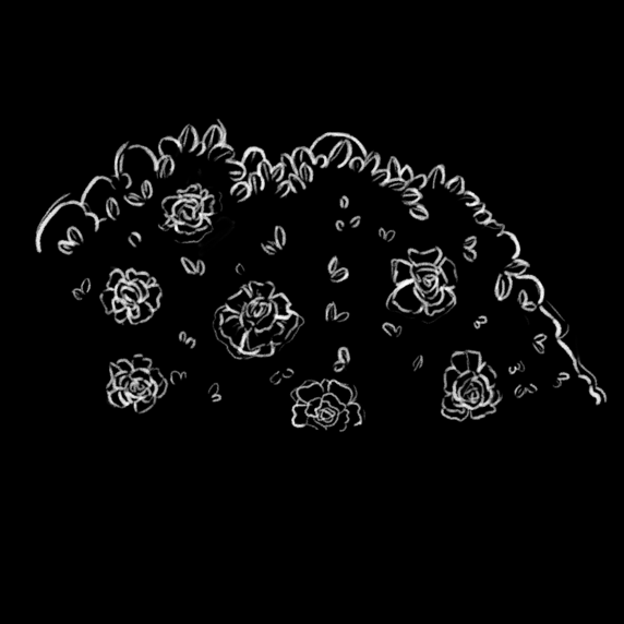 Plant_04_Lines_Alpha