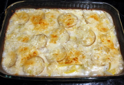 scalloped squash and potato gratin